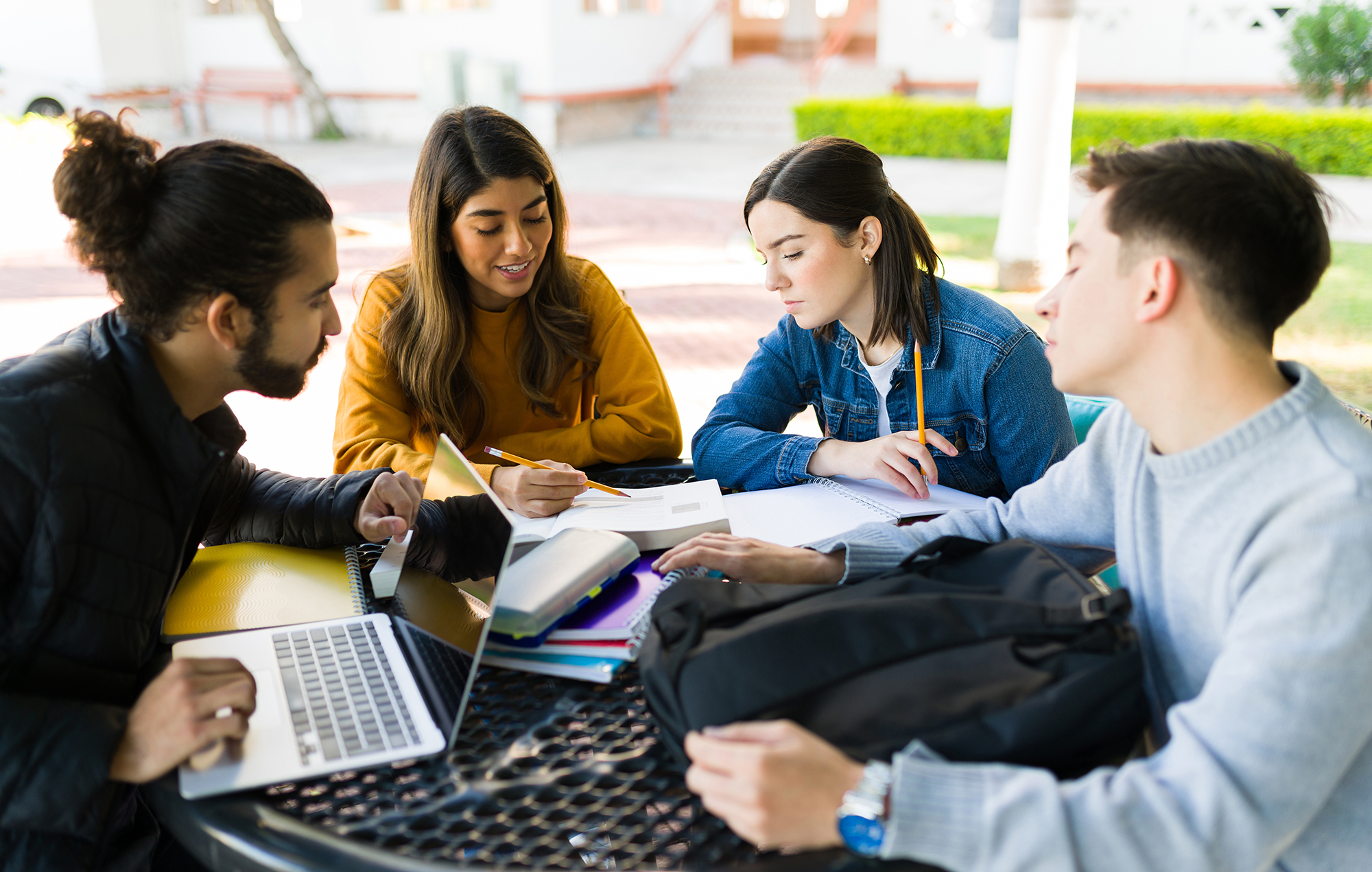 Students reading and studying